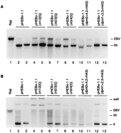 FIG. 5