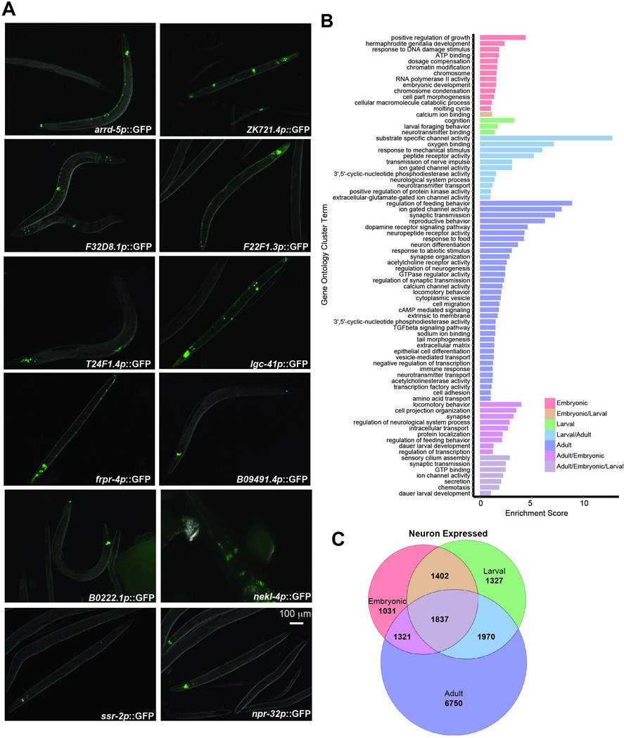 Extended Data Fig 3