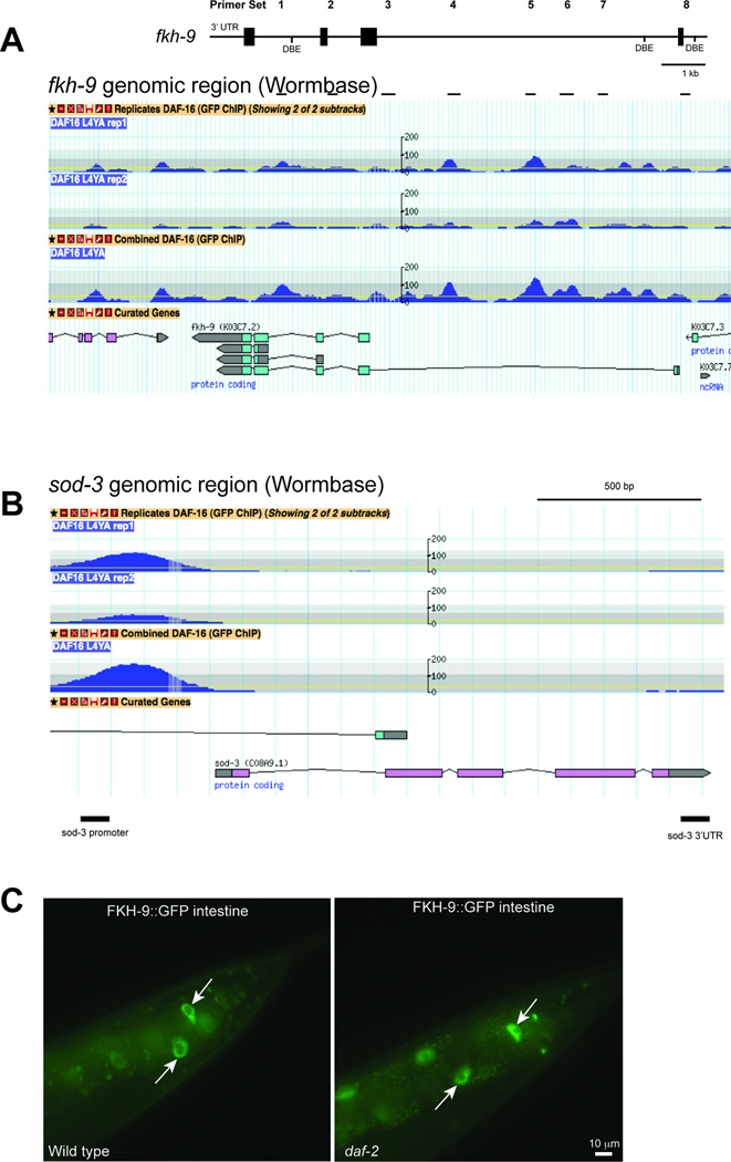 Extended Data Fig 8