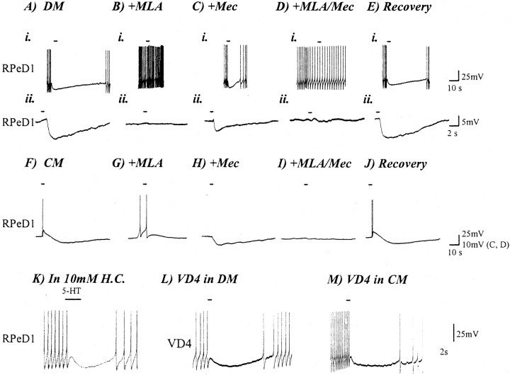 Fig. 8.