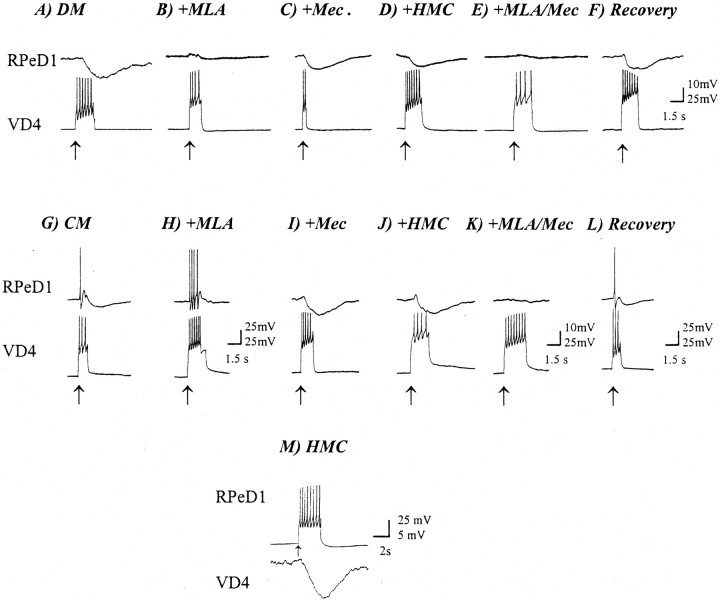 Fig. 6.