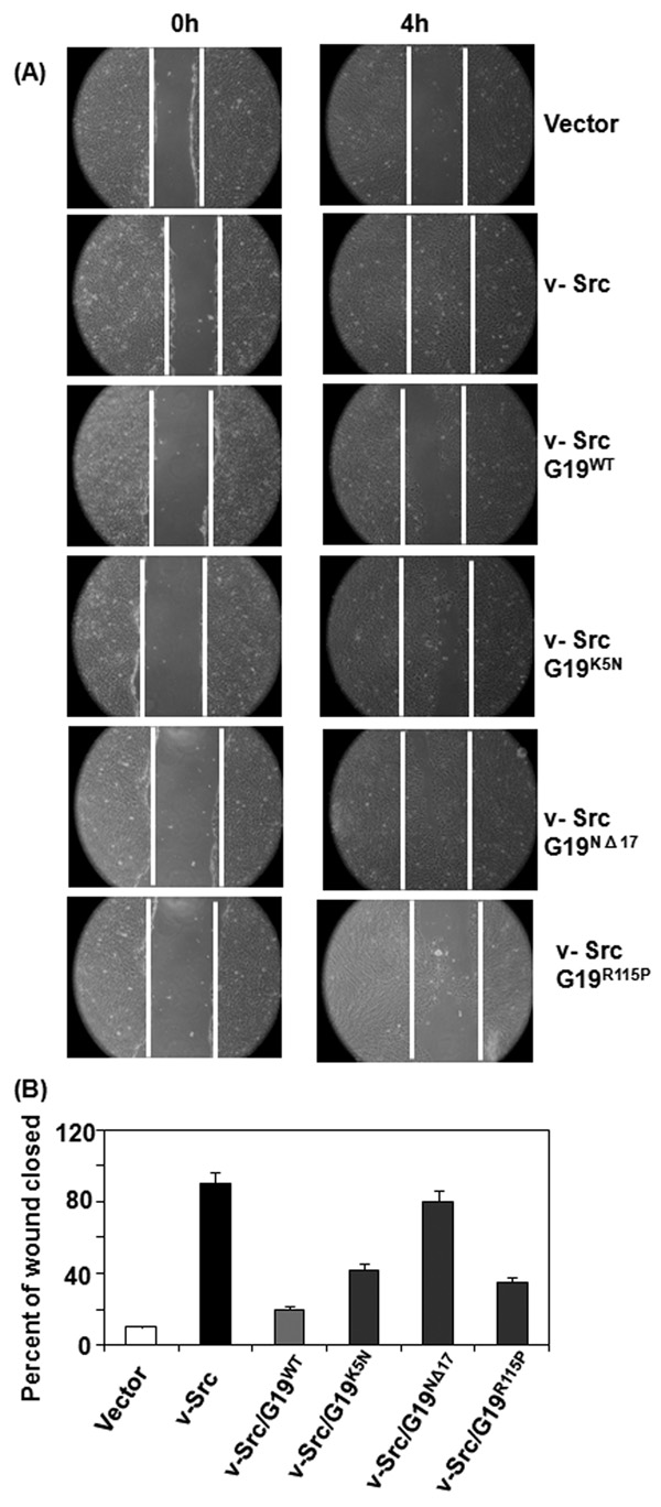 Fig. 5