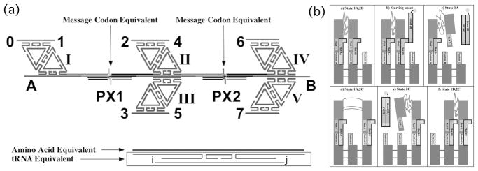 Fig 7