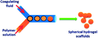 Figure 14.