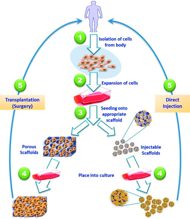 Figure 2. 