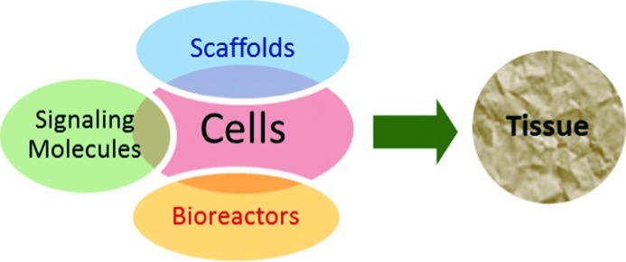 Figure 1. 