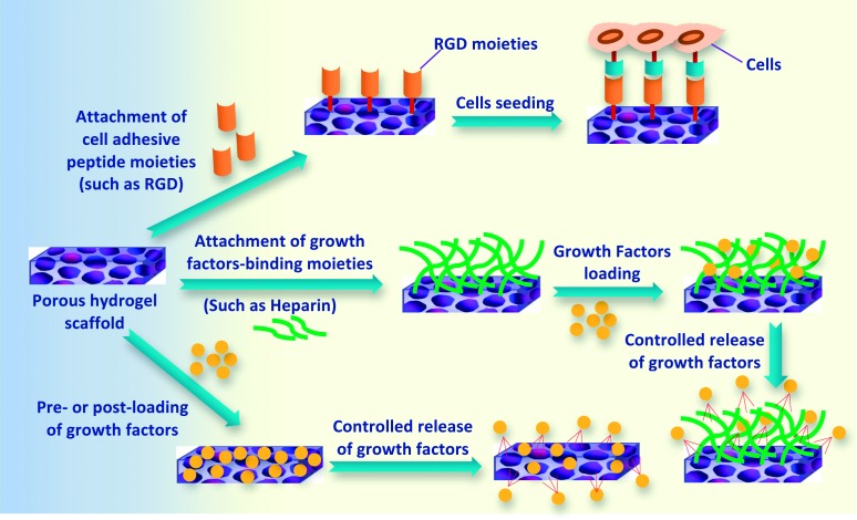 Figure 6. 