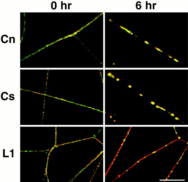 Fig. 7.