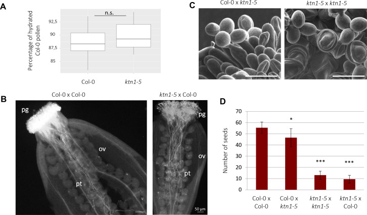 Figure 5—figure supplement 2.