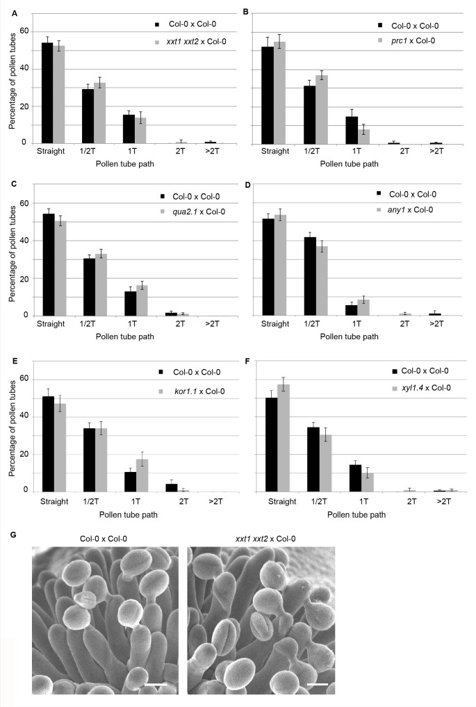 Figure 5—figure supplement 3.