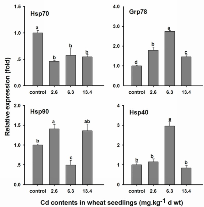 Fig 6