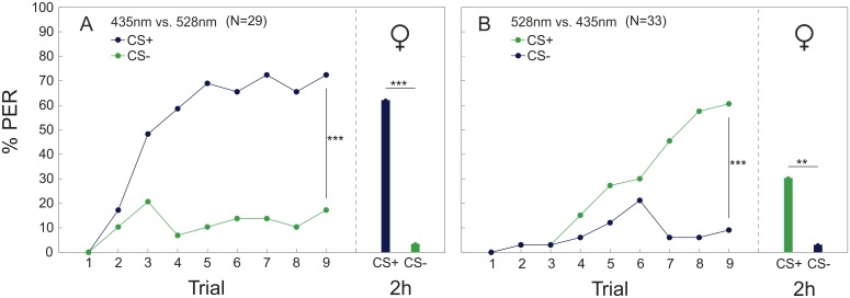 Fig 5