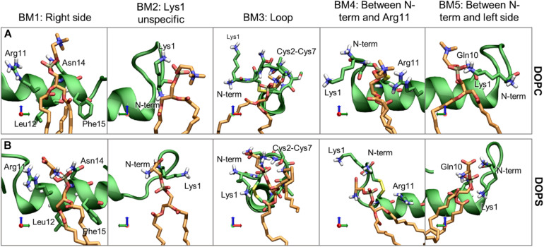 FIGURE 12