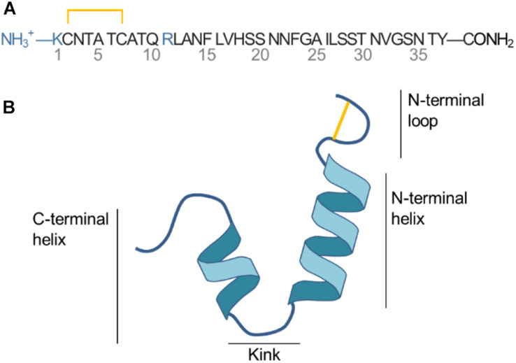 FIGURE 1