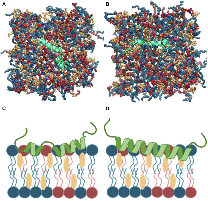 FIGURE 2