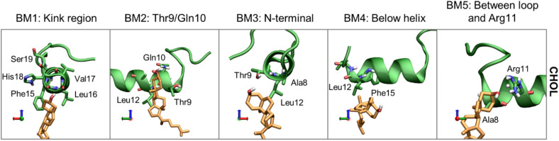 FIGURE 13