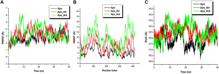 FIGURE 1