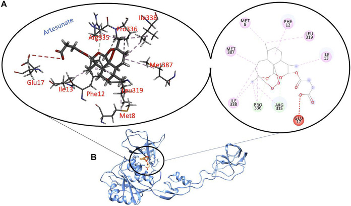 FIGURE 3