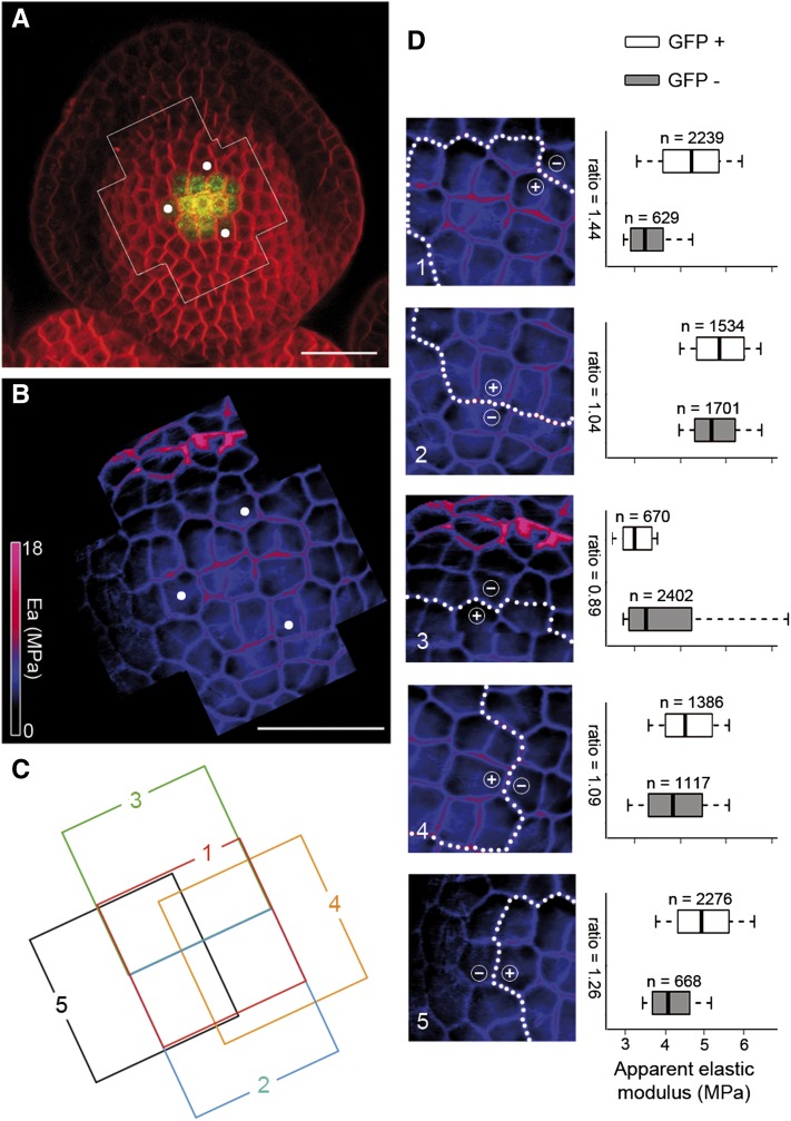 Figure 3.