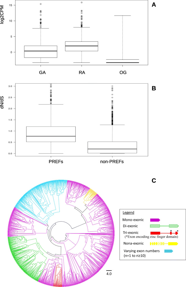 Fig. 8