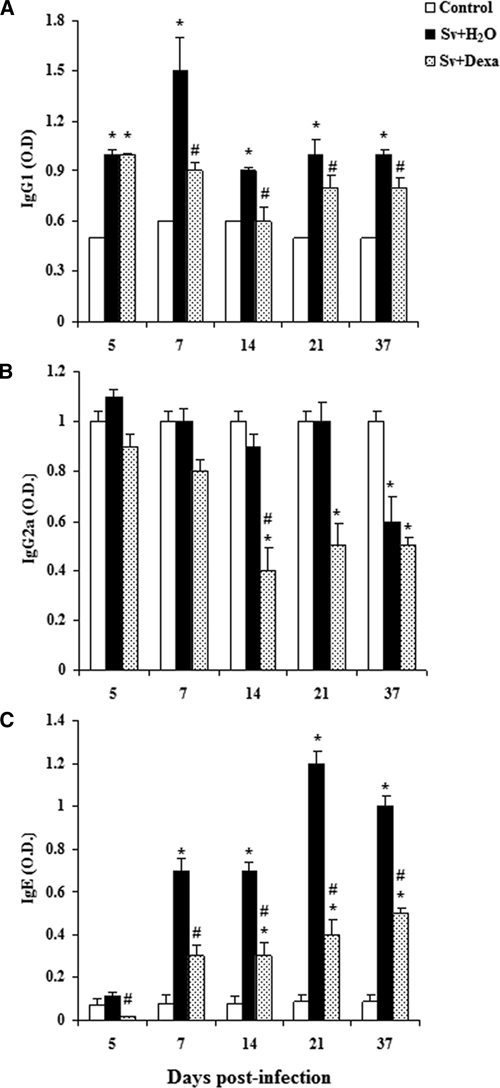 Figure 7.