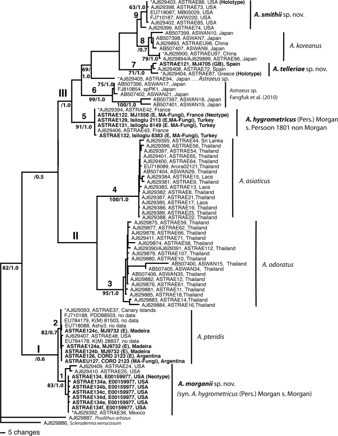 Fig. 1.