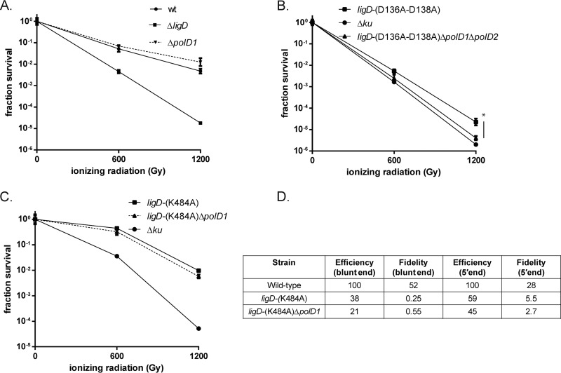 FIG 6