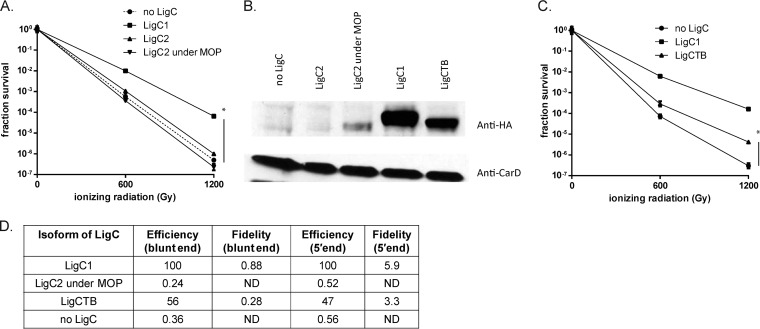 FIG 5