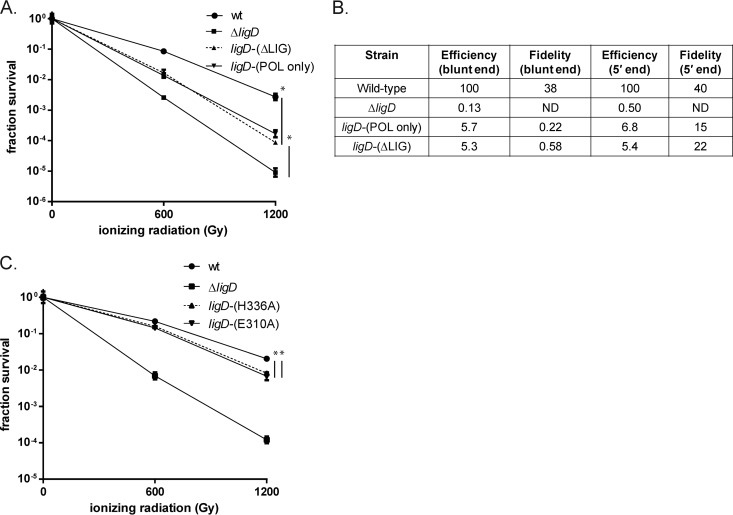 FIG 3