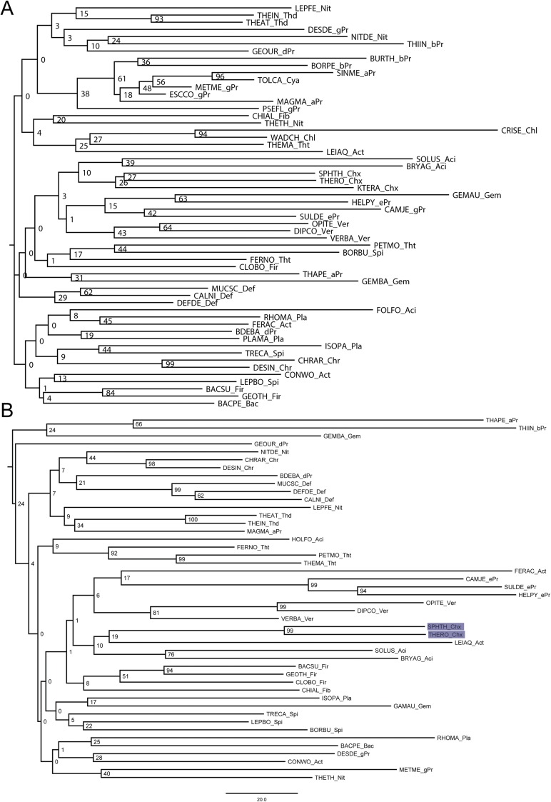 Fig. S5.