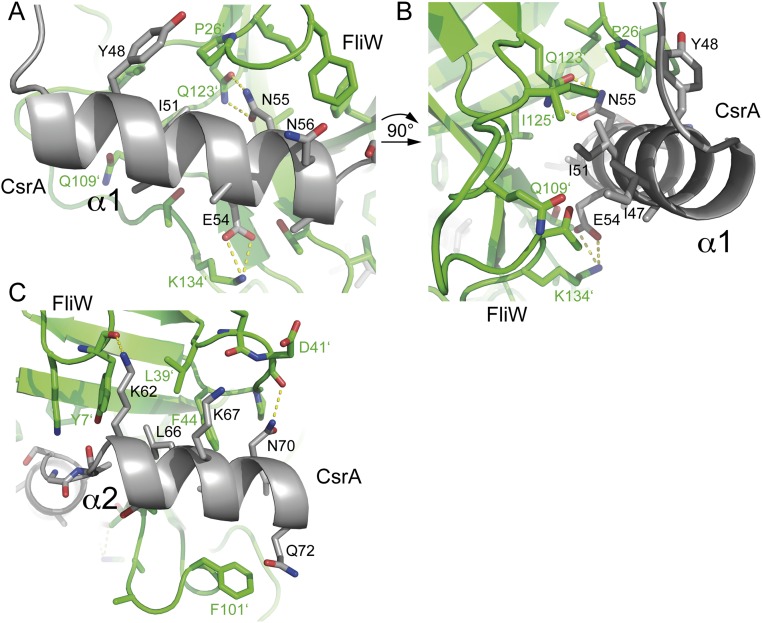 Fig. S3.