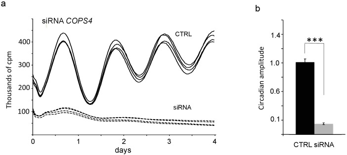 Figure 4—figure supplement 1.