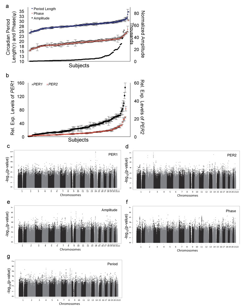 Figure 1—figure supplement 1.