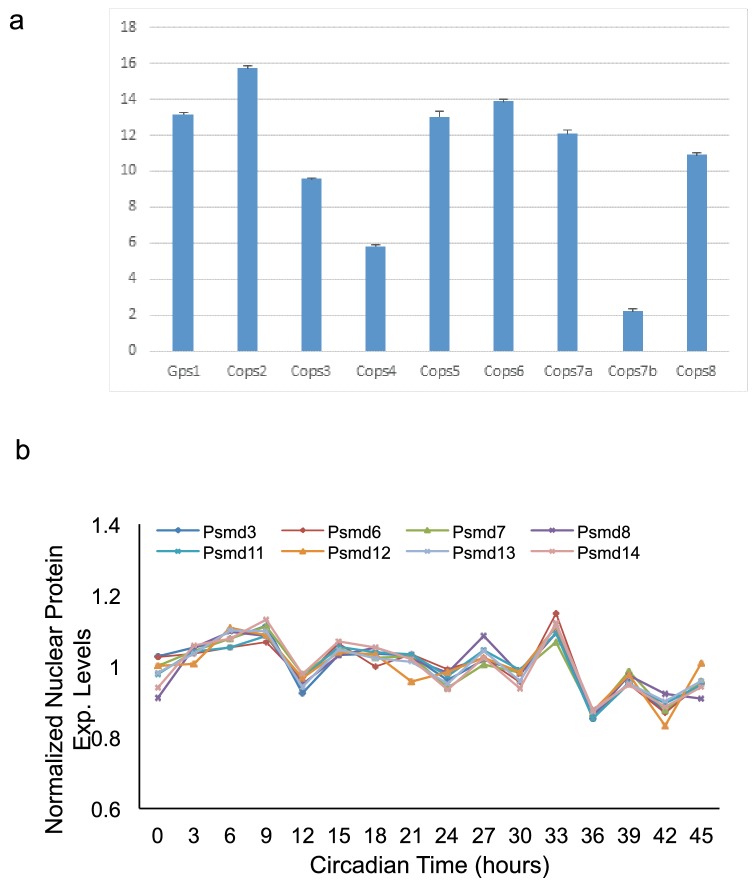 Figure 6—figure supplement 1.