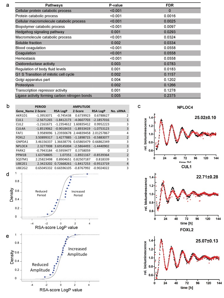 Figure 3—figure supplement 2.