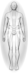 <b>FIG. 1.</b>