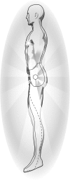 <b>FIG. 2.</b>
