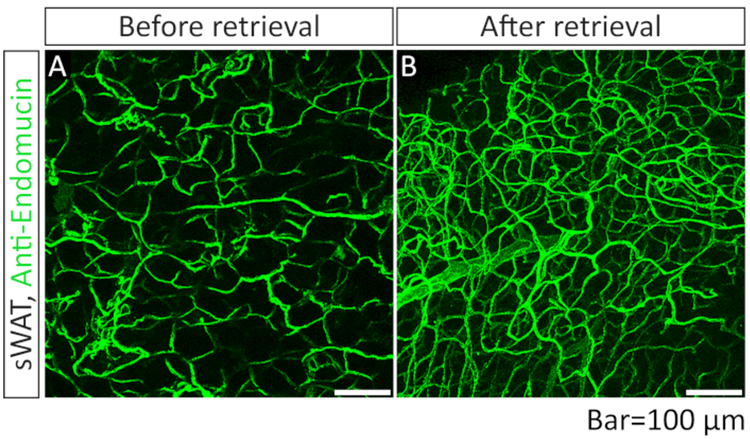 Figure 3: