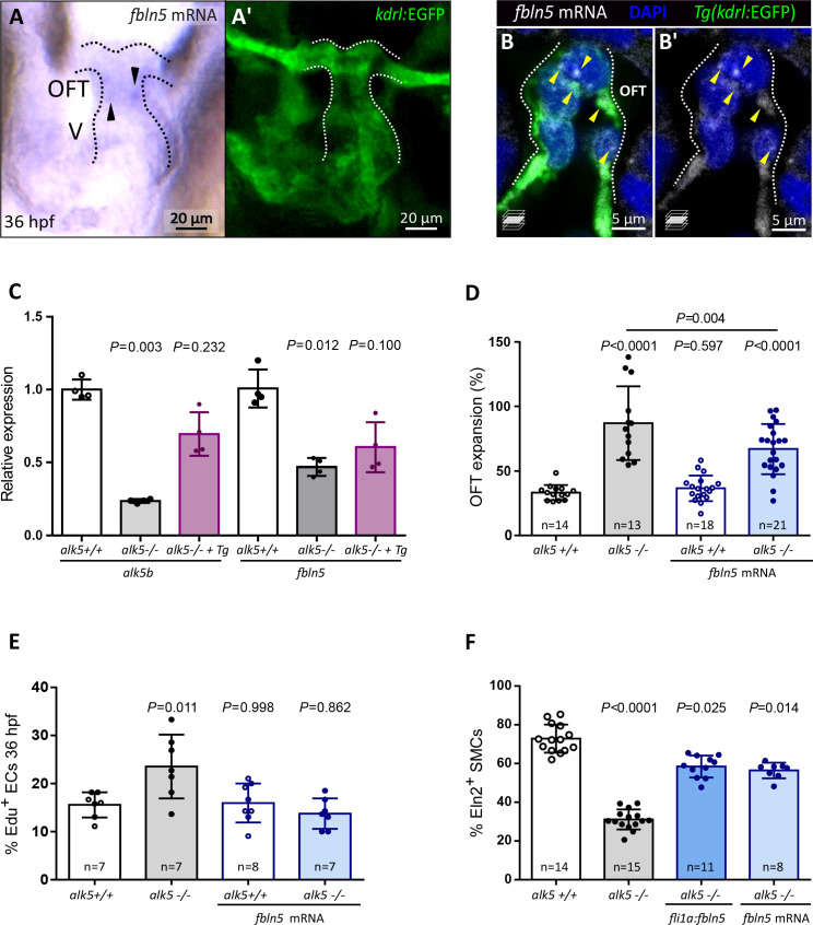 Figure 6—figure supplement 2.