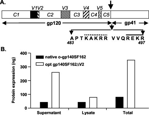 FIG. 2.