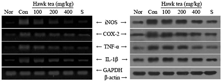 Figure 4.