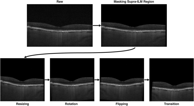 Figure 4