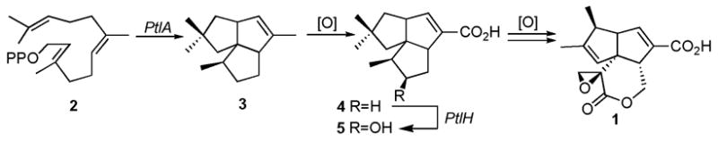 Scheme 1