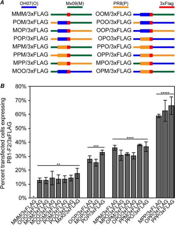 Fig 6