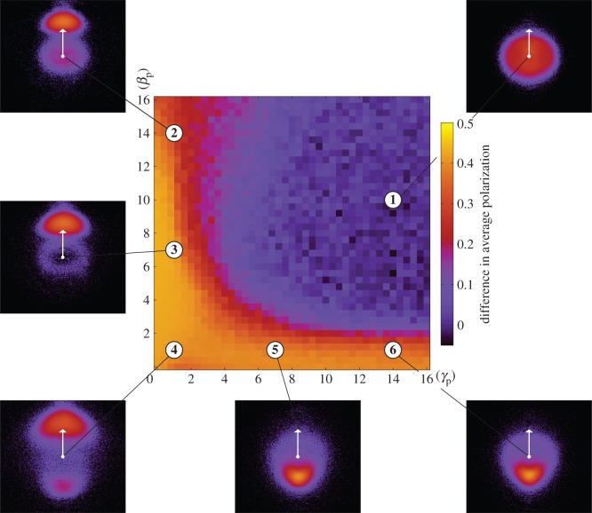 Figure 3.