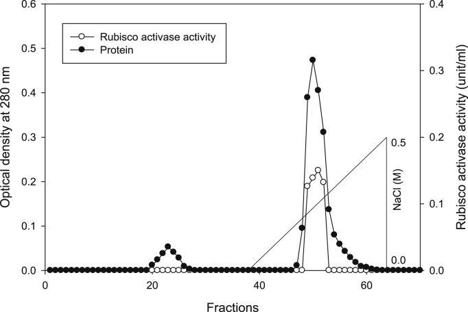 Fig. 13