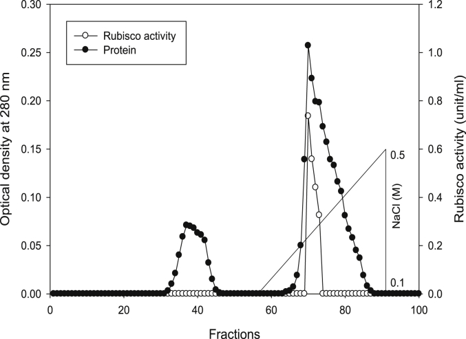 Fig. 8