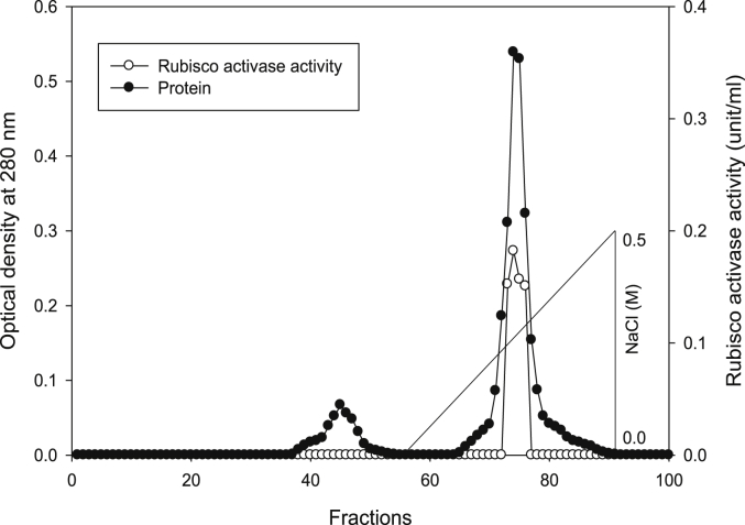 Fig. 12