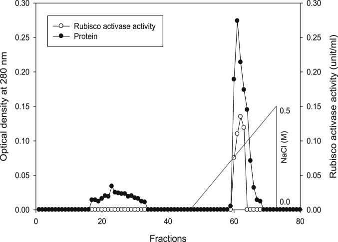 Fig. 14