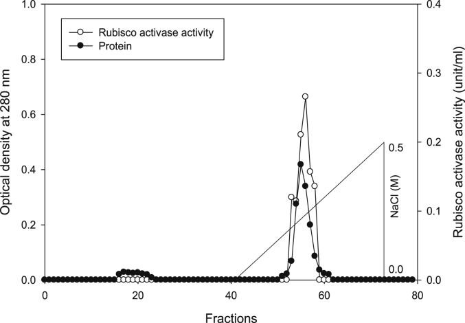 Fig. 17